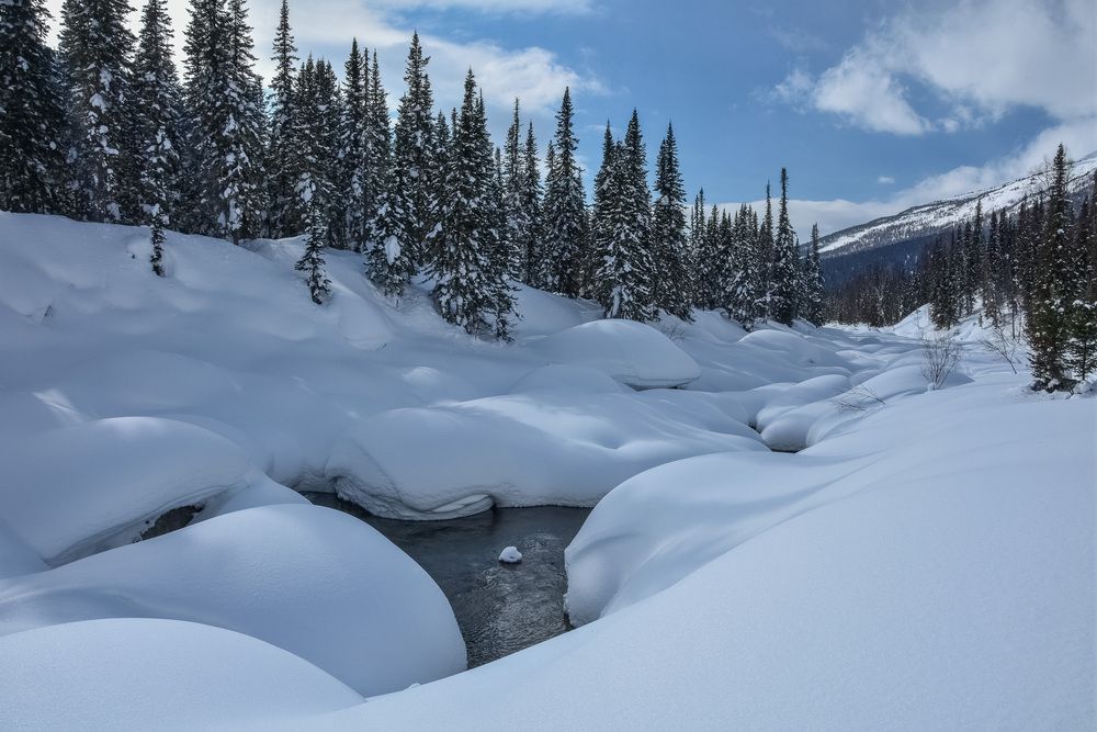 Снежные волны