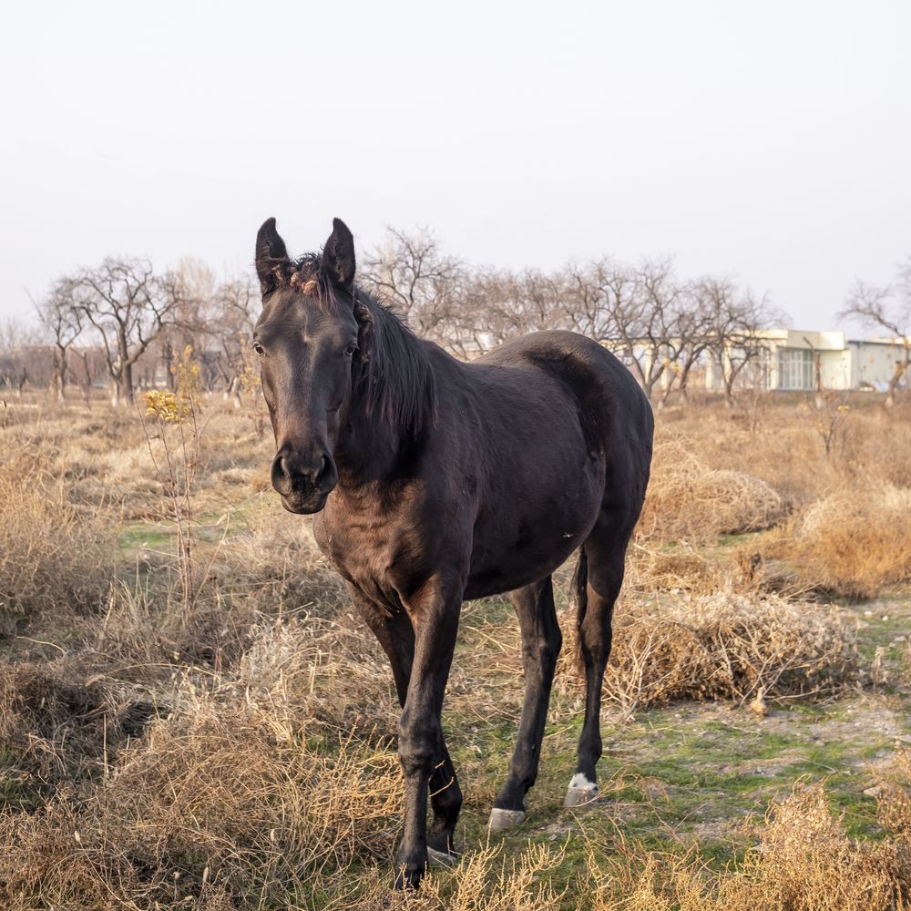 Photograph by Илья Мячин
