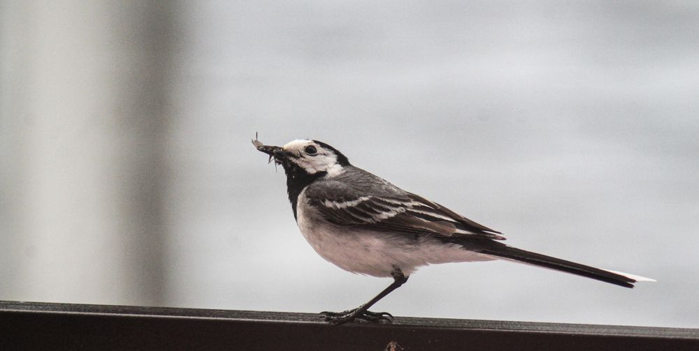 Photograph by Виталий Васильев