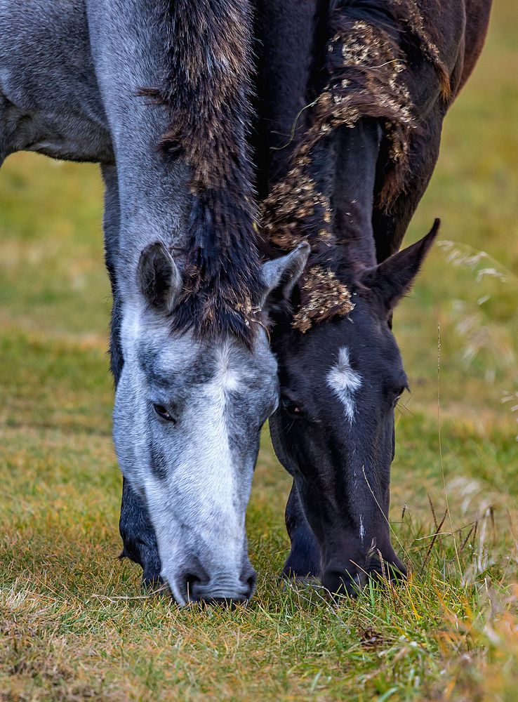 Photograph by Лапин Сергей