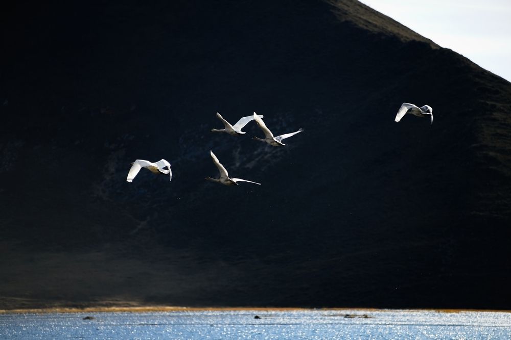 Photograph by Анастасия Сахаревич
