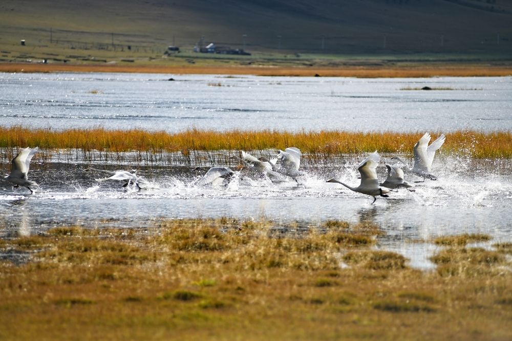Photograph by Анастасия Сахаревич