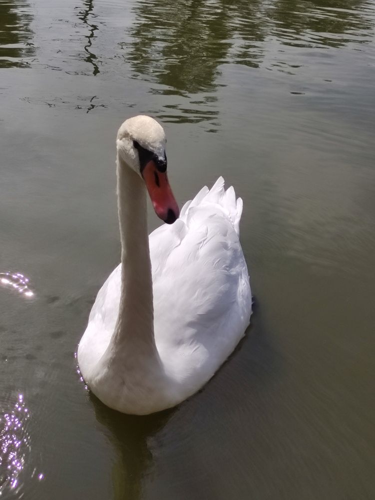 Photograph by Олеся