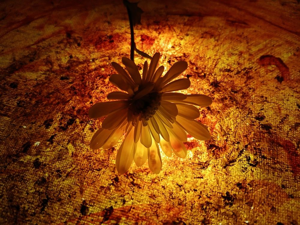 Photograph by Naran-Undrakh Baatar