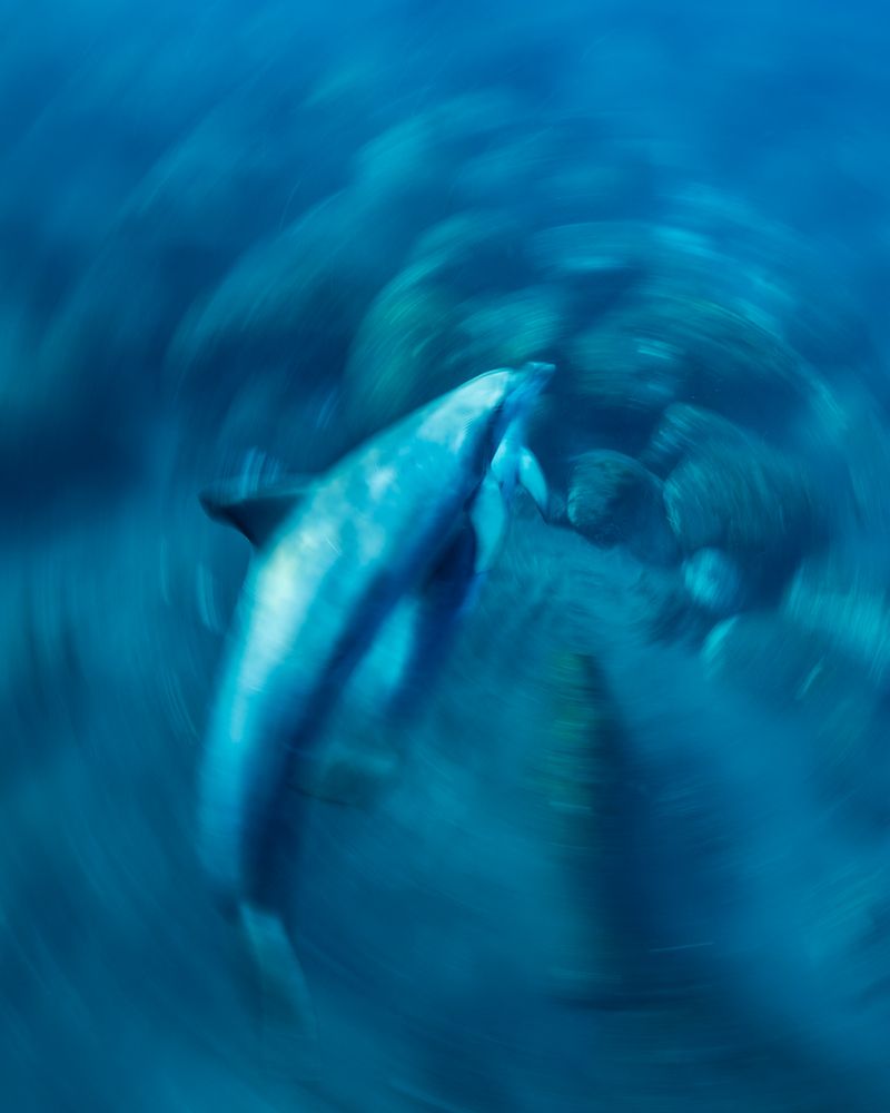 Фотография автора nishijima takayuki