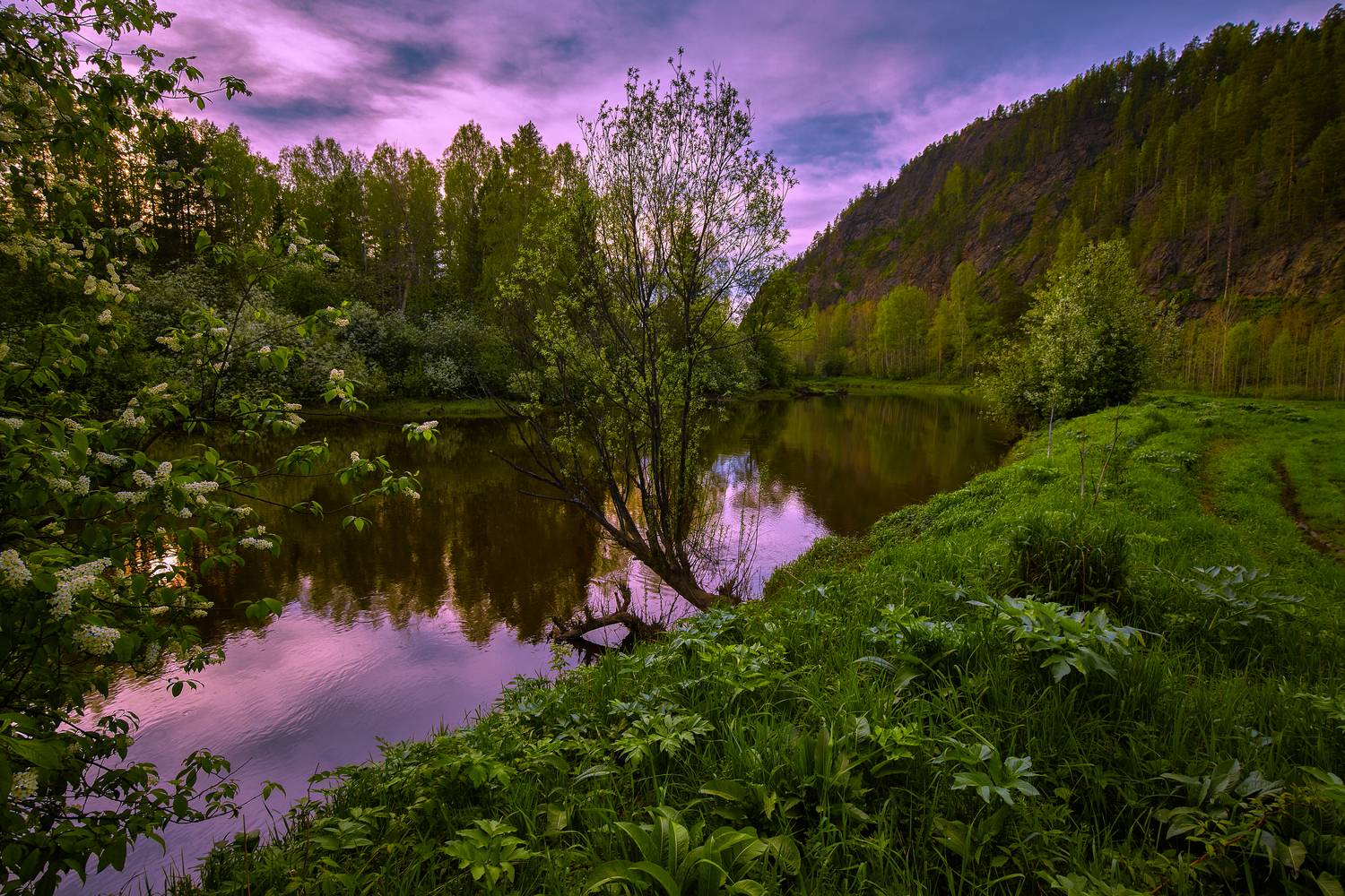 Вечер на черёмуховых берегах.
