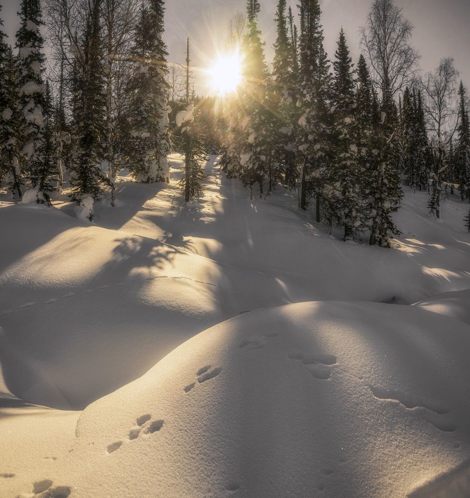Photograph by Татьяна Добровольская