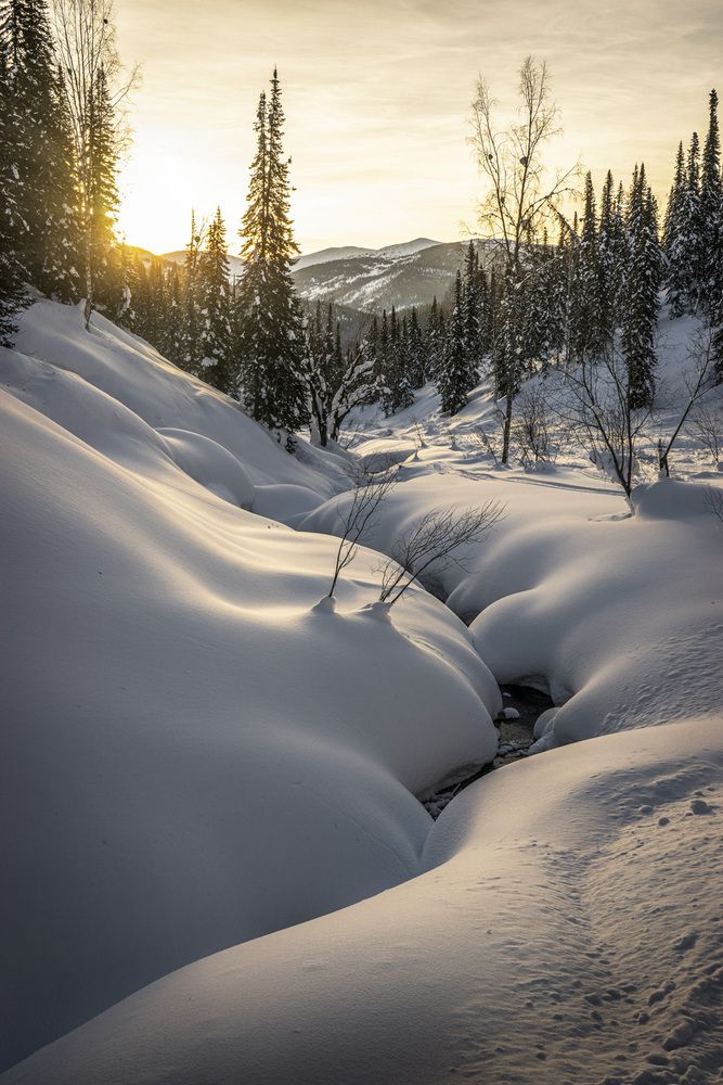 Photograph by Татьяна Добровольская