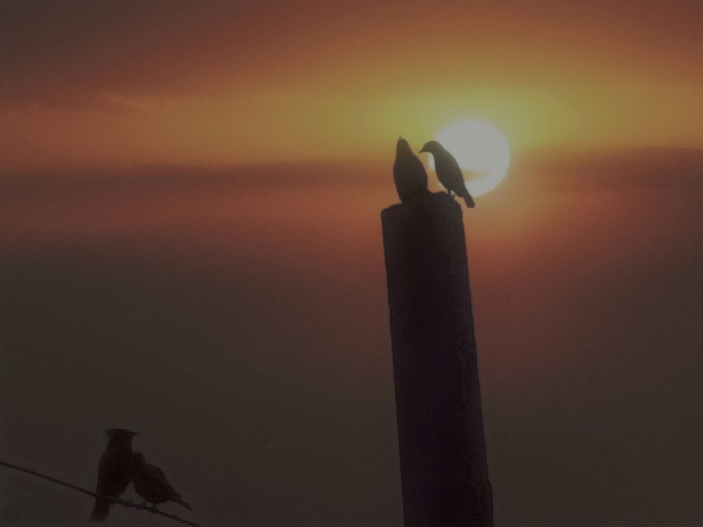 Photograph by Krishna Patil