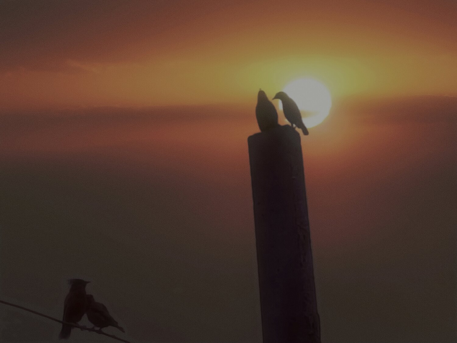 Photo #13098209