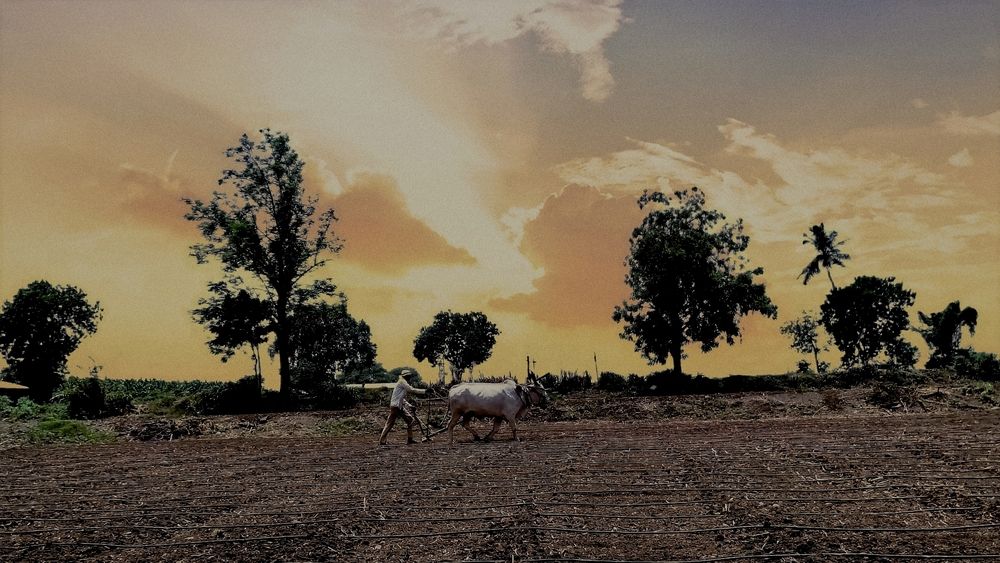 Photograph by Krishna Patil