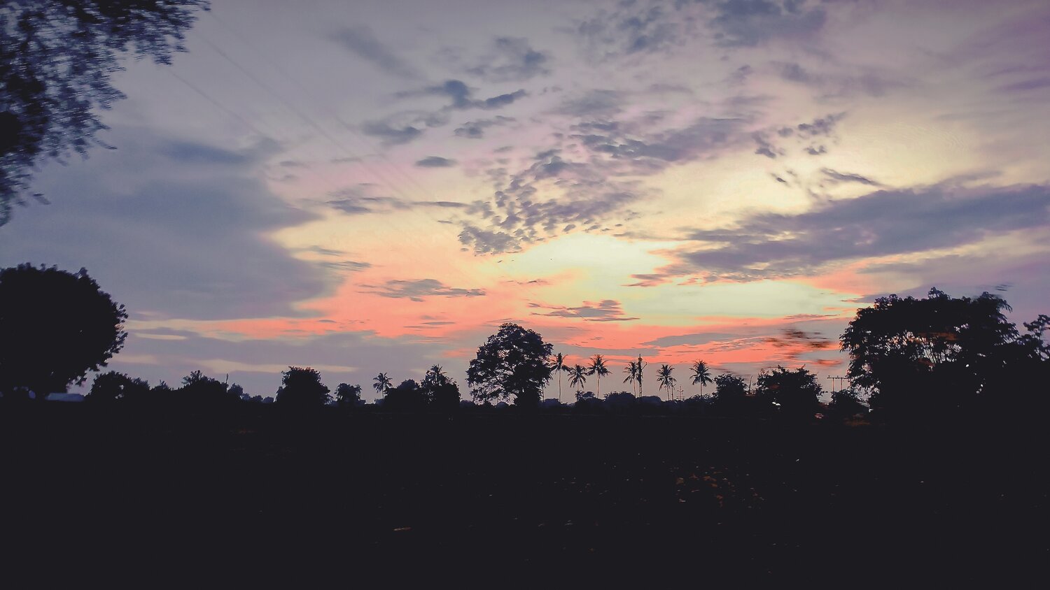 Photo #13098219