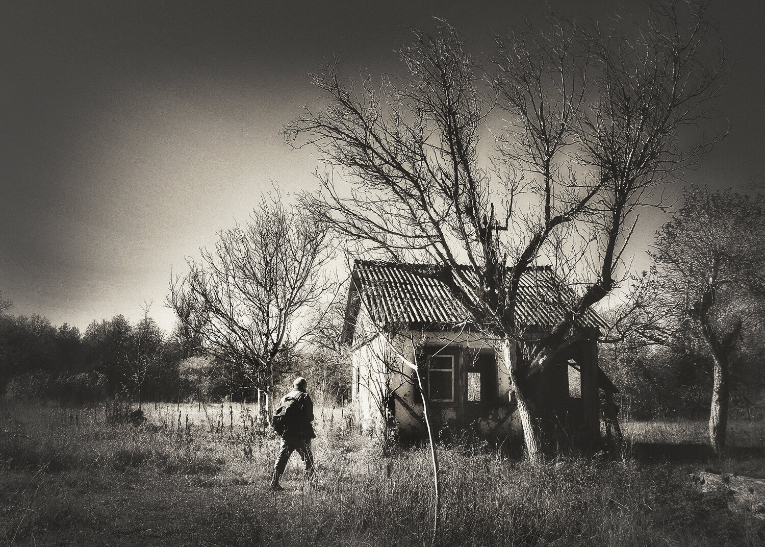 Photo #13098236