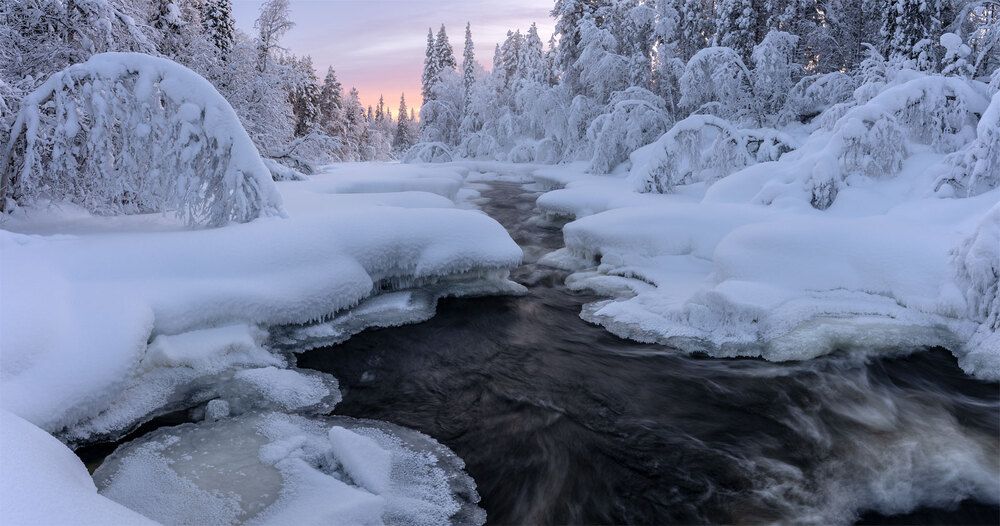 Фотография автора Бушков Евгений