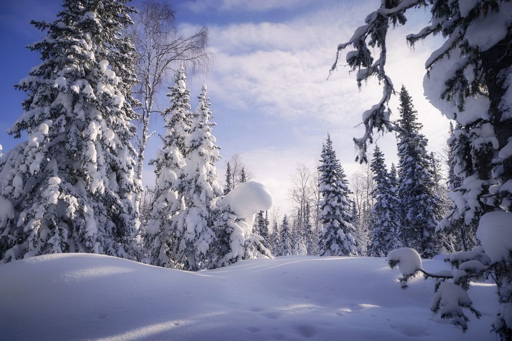 Фотография автора Татьяна Добровольская