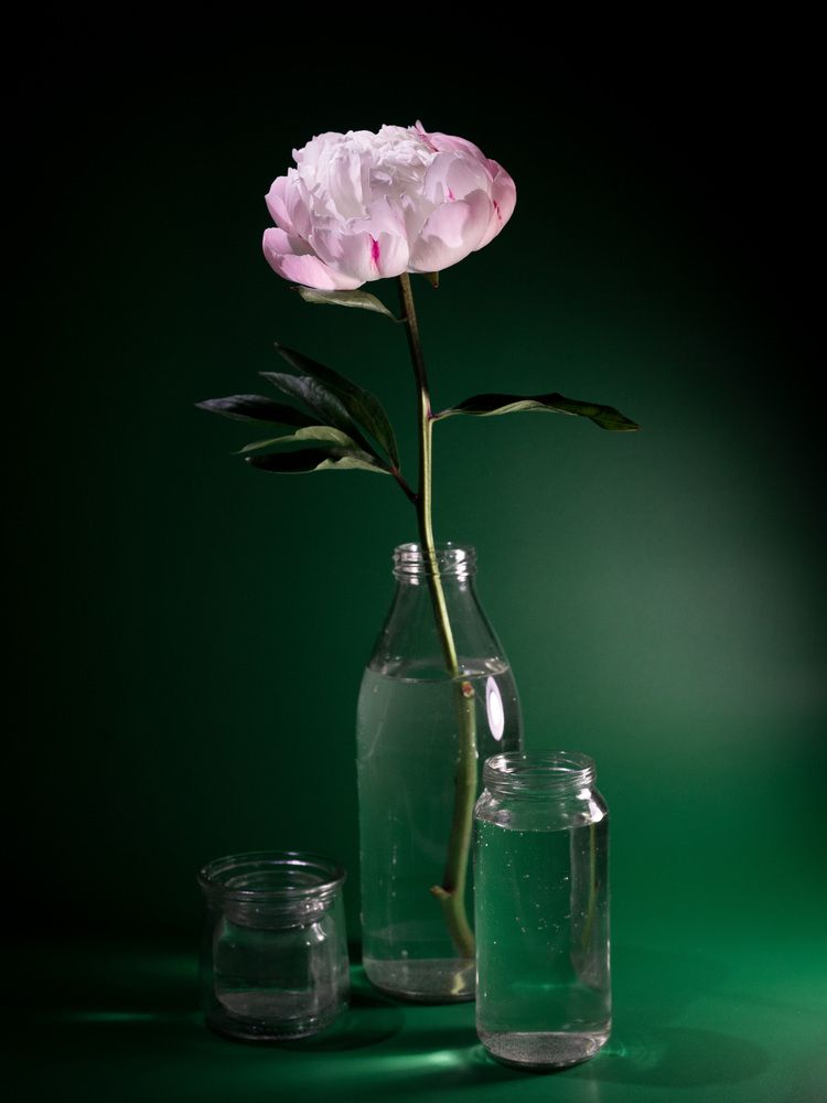 Photograph by Анна Брагина