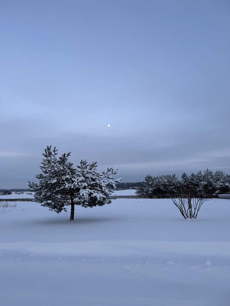 Photograph by Юлия Давшан