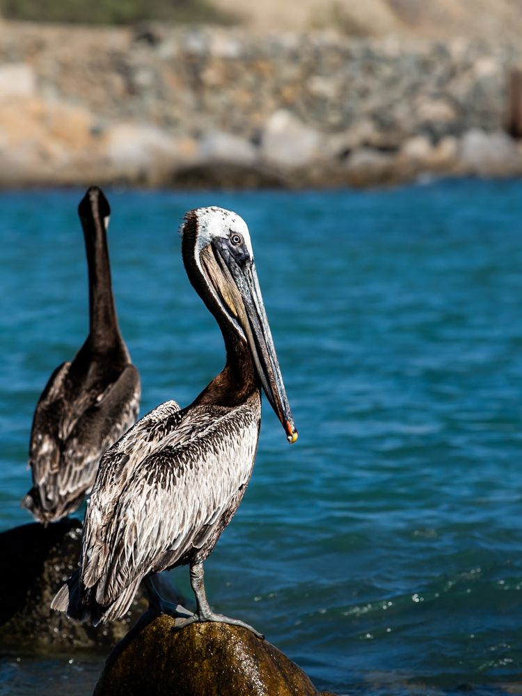 Photograph by nishijima takayuki