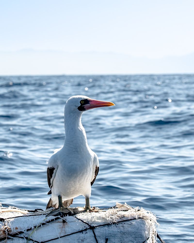 Photograph by nishijima takayuki