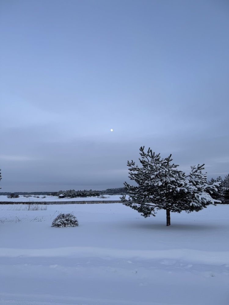 Photograph by Юлия Давшан