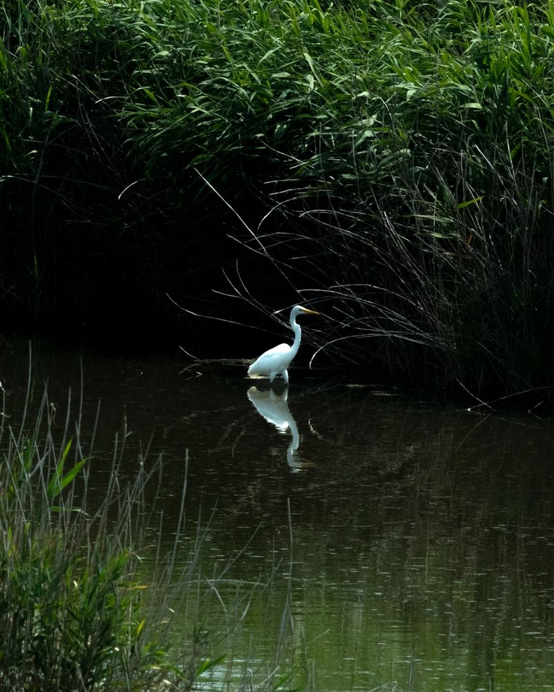 Photograph by nishijima takayuki