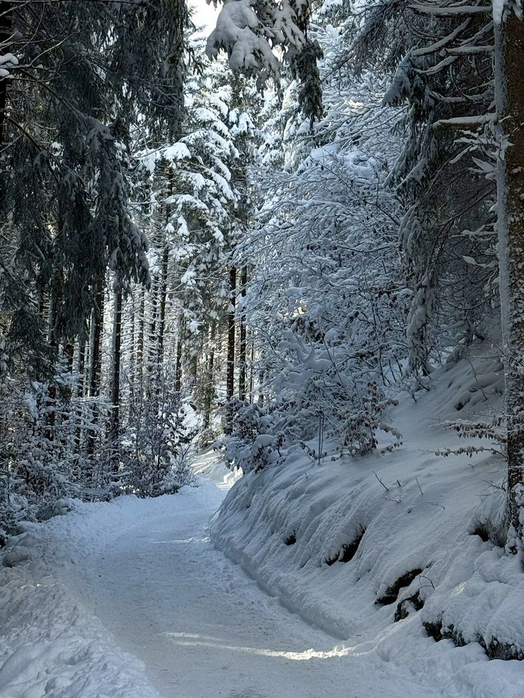 Фотография автора Ирина Зайцева