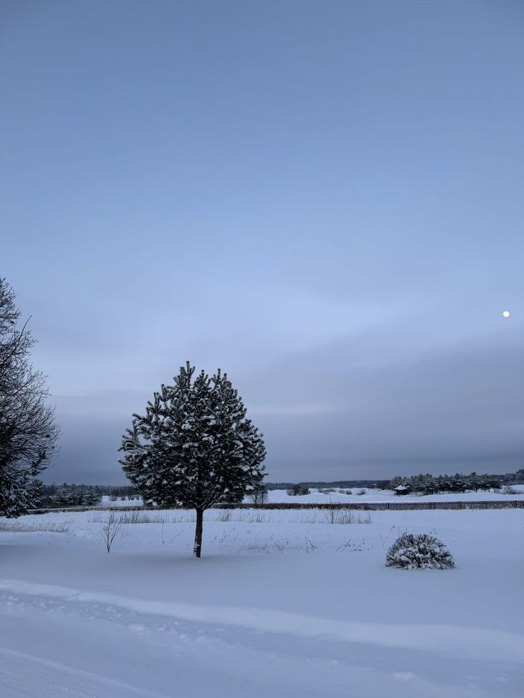 Photograph by Юлия Давшан