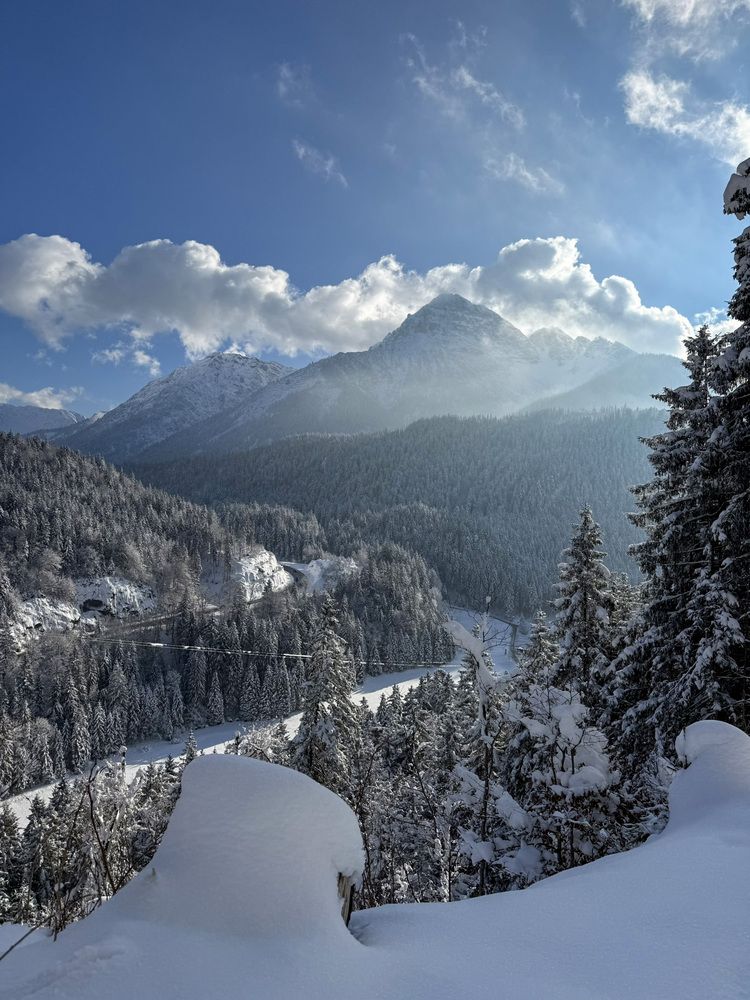 Фотография автора Ирина Зайцева