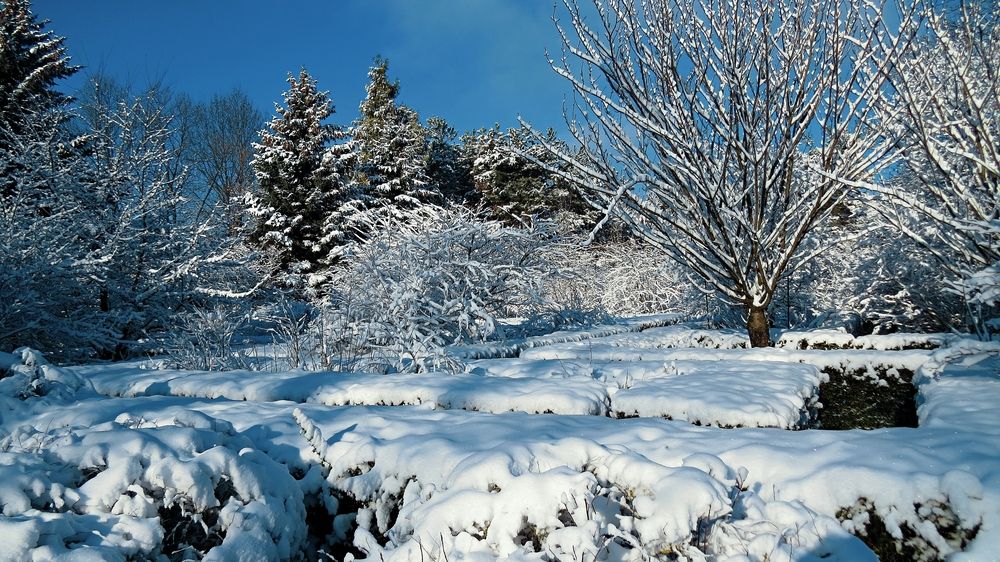 Photograph by Фартушняк Сергей