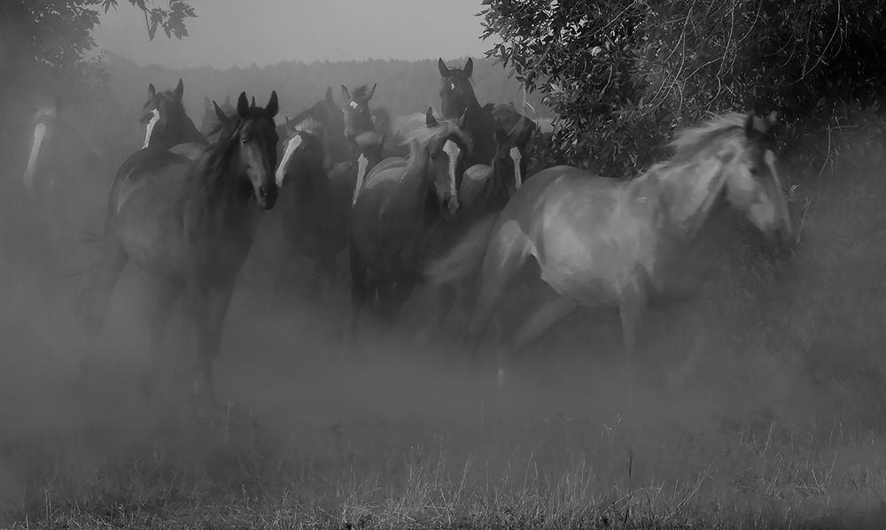 Photograph by Валерий Черняк