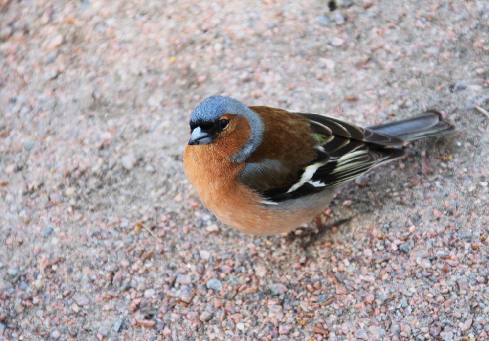 Photograph by Юрий Чистяков