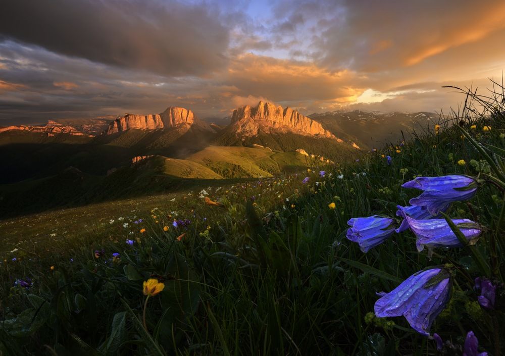 Photograph by Ширгин Сергей