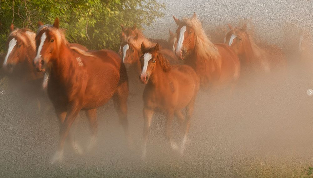 Photograph by Валерий Черняк