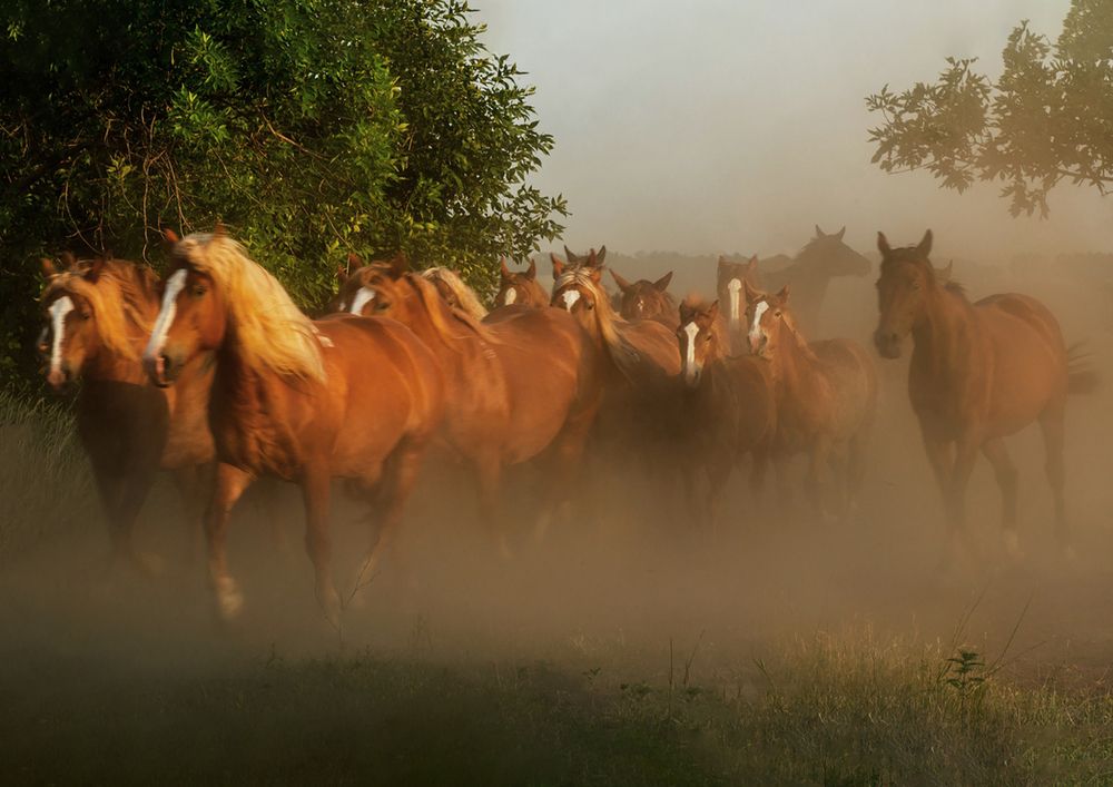 Photograph by Валерий Черняк