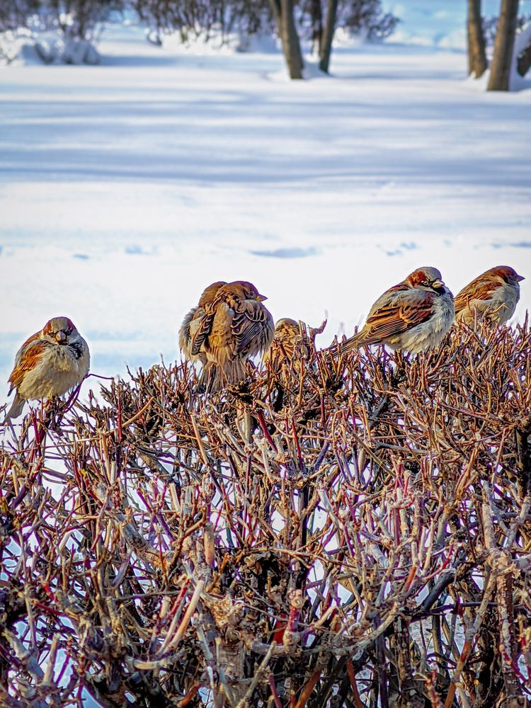 Photograph by Олега Тор