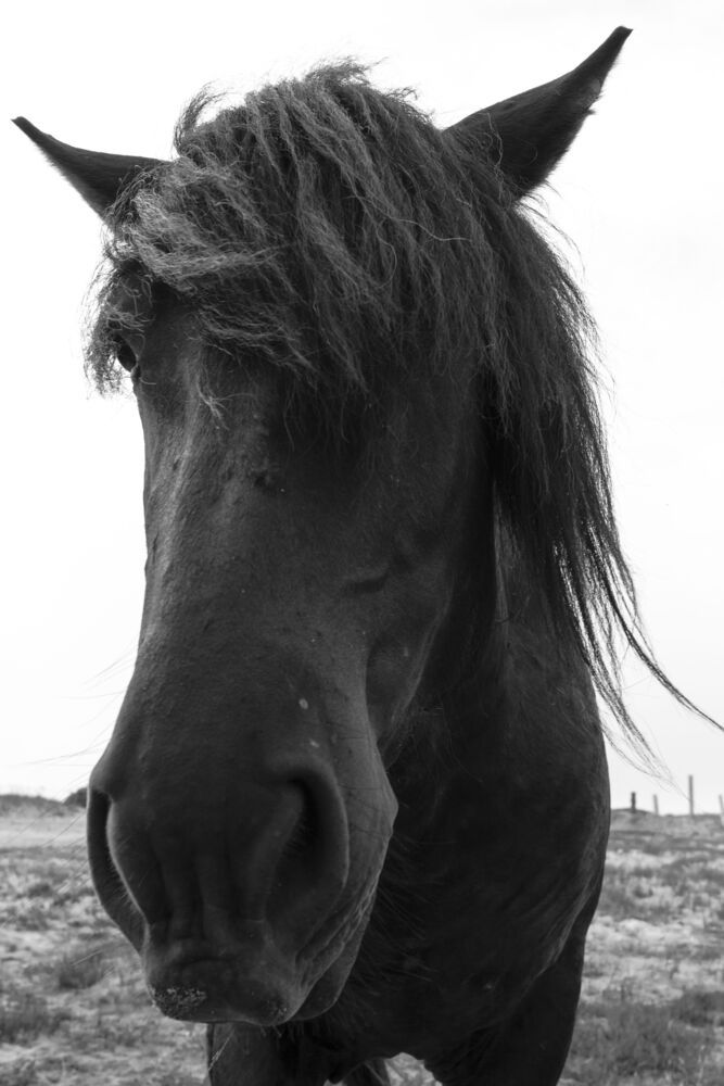 Photograph by Илья Мячин