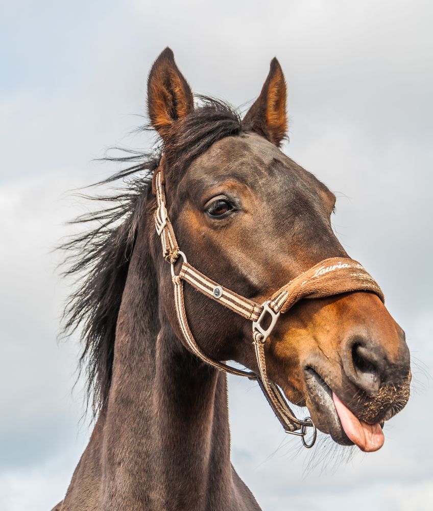 Фотография автора Олег Анатольевич Загорулько