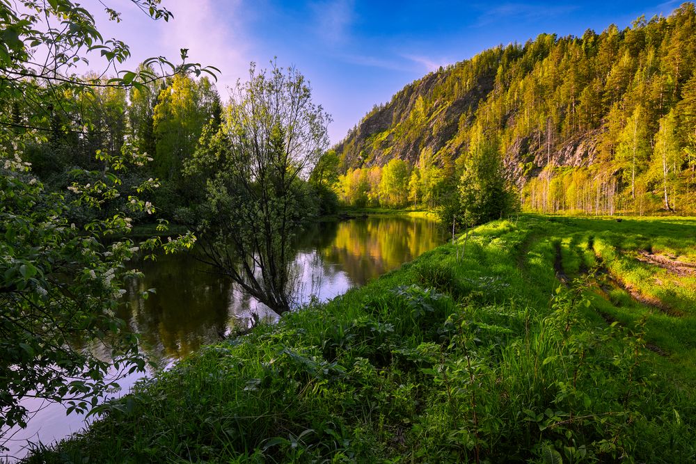 Черёмуховый вечер мая.