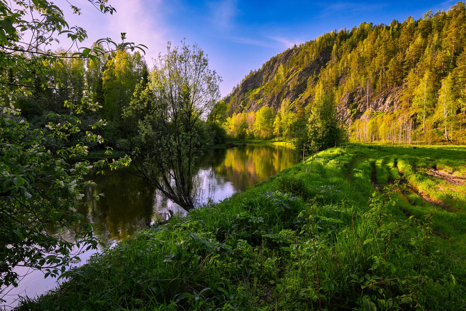 Черёмуховый вечер мая. Черёмуховый вечер мая.