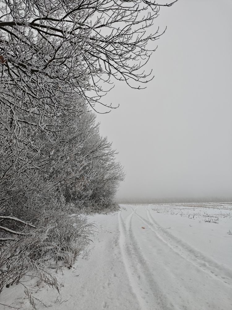 Фотография автора Анастасия Сироткина