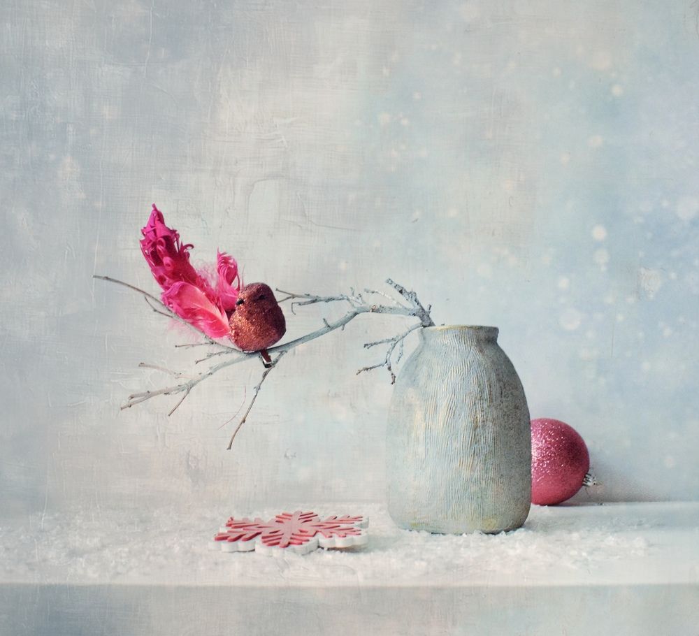 Photograph by Антонина Шабышева