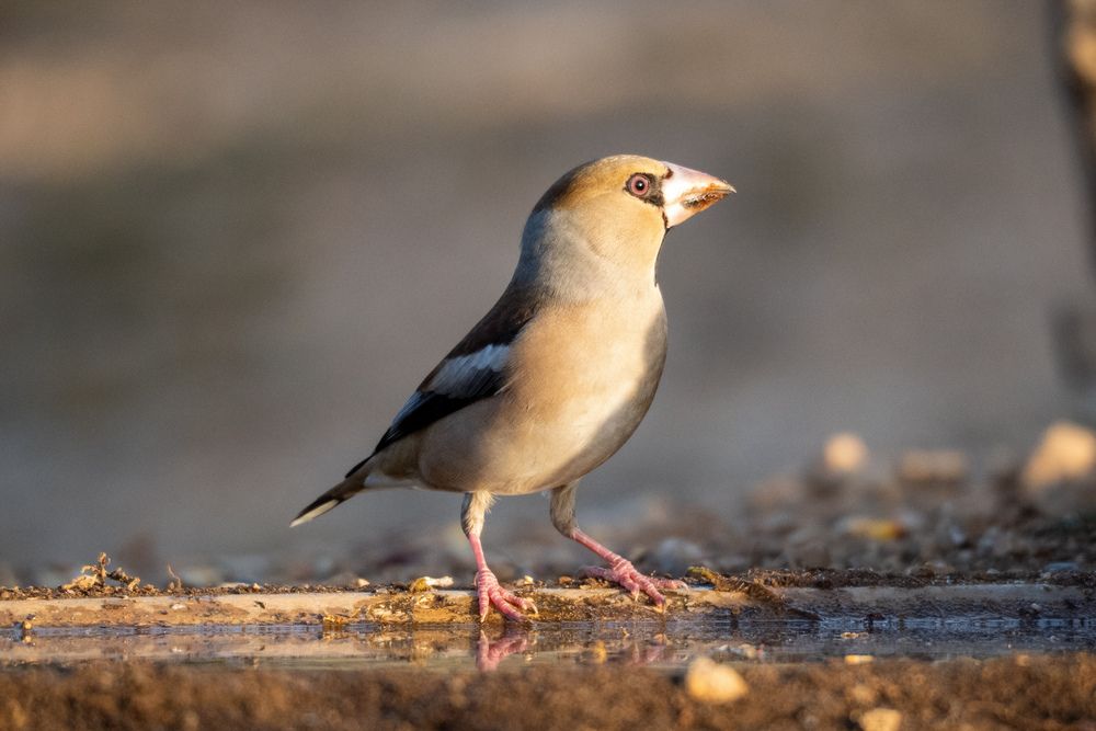 Photograph by Herraiz Jorge