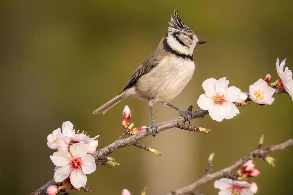 Photograph by Herraiz Jorge