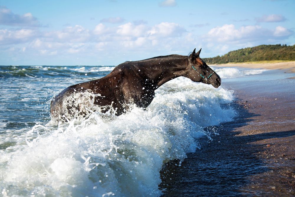 Photograph by Матюхина Наталья