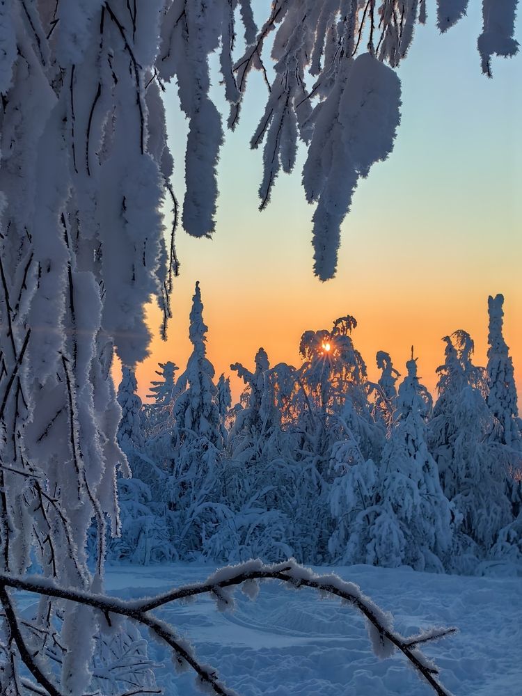 Фотография автора Роман Салихов