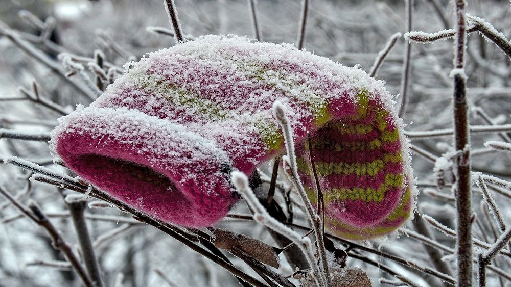 Настоящий зимний натюрморт