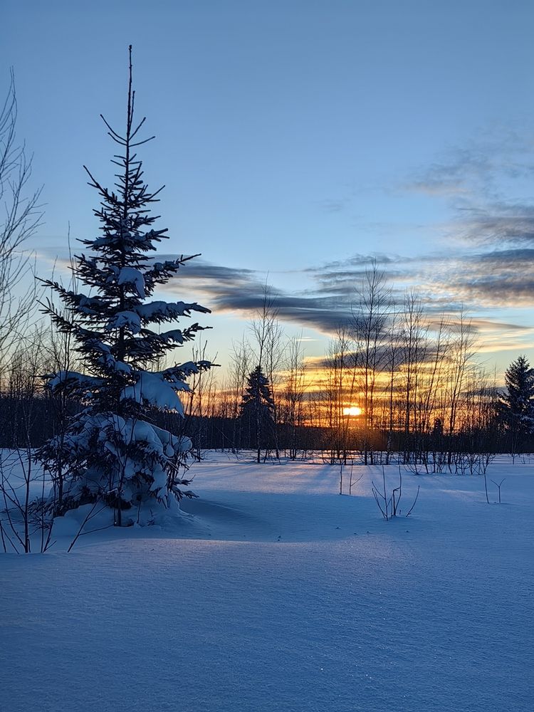 Фотография автора Роман Салихов