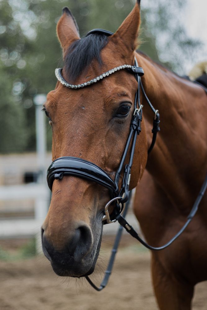 Photograph by Людмила Сарыцина