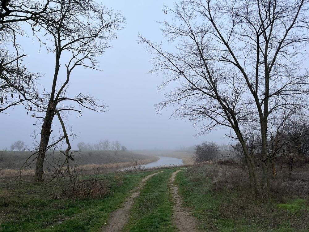 Photograph by Злата Столяр