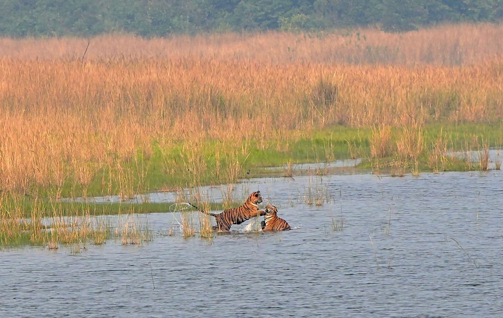 Photograph by Nirmalya Chakraborty